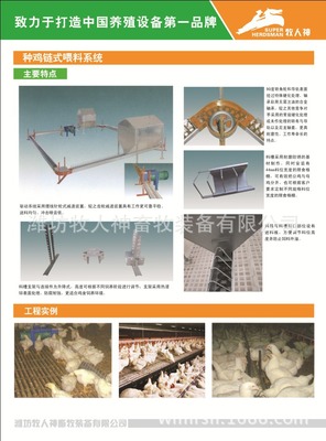【种鸡链条式喂料系统】价格,厂家,图片,其他畜牧养殖机械,潍坊牧人神畜牧装备-